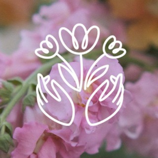 Telegram profile photo for Куда приводят цветы