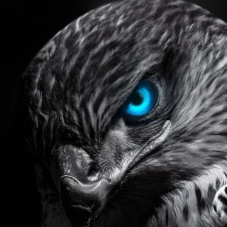 Telegram profile photo for كركوك ستور : KRKOK STOR