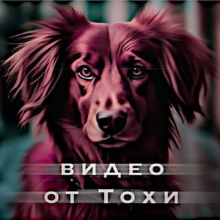 Telegram profile photo for ʙидᴇᴏ ᴏᴛ ᴛᴏхи