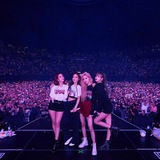 Telegram profile photo for BLACKPINK RECORDS