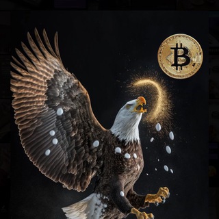 Telegram profile photo for ATMACA News;