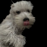 Telegram profile photo for Бильбо. Лайфстайл