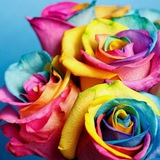 Telegram profile photo for گلهای رنگارنگ