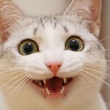 Telegram profile photo for МЕМЫ