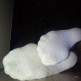 Telegram profile photo for Feet meow