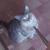 Telegram profile photo for бред лудомана ♡