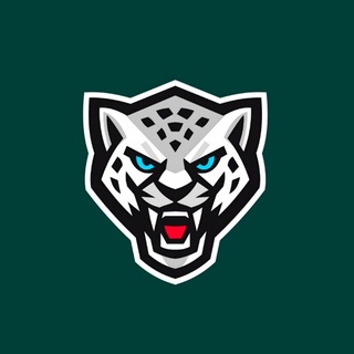 Telegram profile photo for Территория Белого Барса