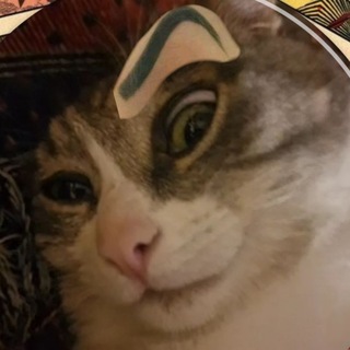 Telegram profile photo for Кефир