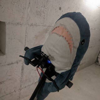 Telegram profile photo for Scooter Shark🦈
