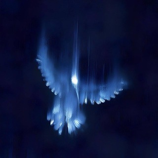 Telegram profile photo for 𝙈𝙚𝙣𝙞𝙡𝙖 𝙭 𝙚𝙙𝙞𝙩𝙨