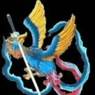 Telegram profile photo for کونگ فو توا. باشگاه سیمرغ💯