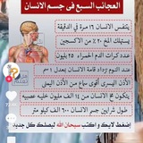 Telegram profile photo for عباقرة أوله ثانوي