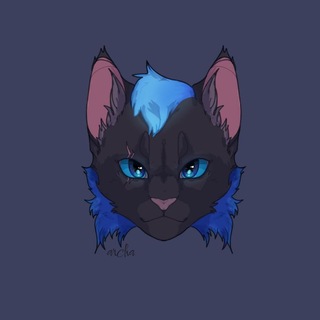 Telegram profile photo for /Ворон + || Чорний Ворон♡ 😒.♊