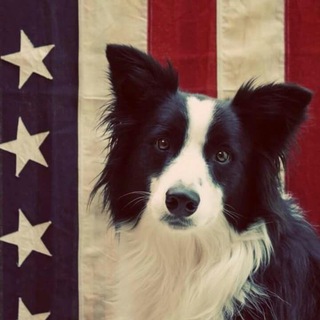 Telegram profile photo for Alexa Bratt