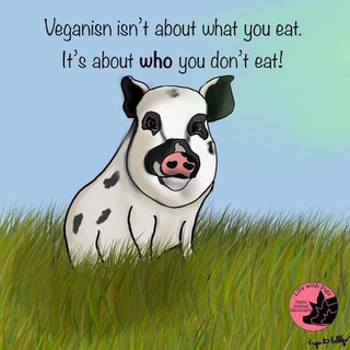 Telegram group profile photo for 🍀 Vegan - gesund - natürlich 🍀