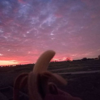 Telegram profile photo for chiquita meme