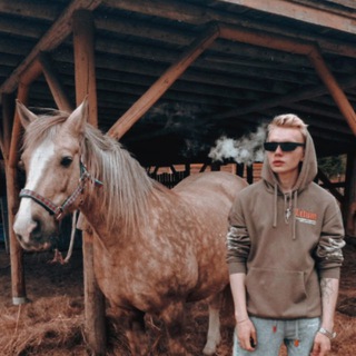 Telegram profile photo for трикстер это бренд 💸