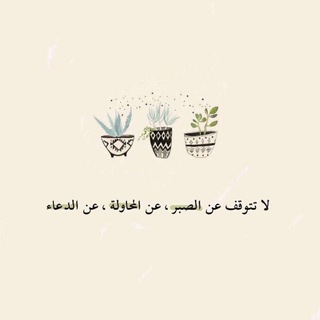 Telegram profile photo for محاضرات المستوى 4,5,6| CS👩🏽💻