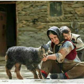 Telegram profile photo for زمانی دایکی🌱