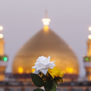 Telegram profile photo for علي مع الحق والحق مع علي