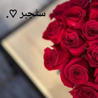 Telegram profile photo for ستُجبر ♡