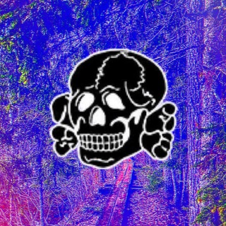 Telegram group profile photo for Белый лес🌲 Chat