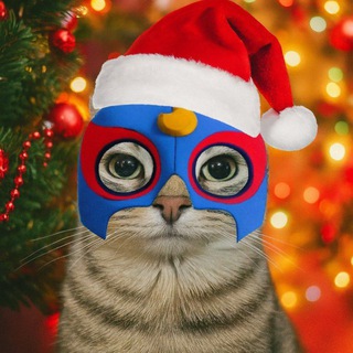 Telegram profile photo for primo