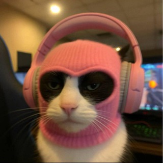 Telegram profile photo for Чаёк