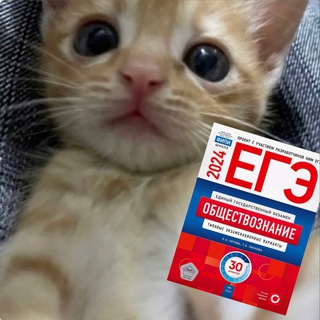 Telegram profile photo for ege oge | confessions