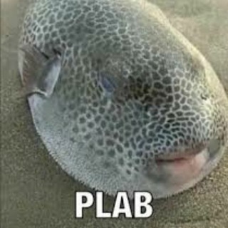 Telegram profile photo for Collection of Plabs