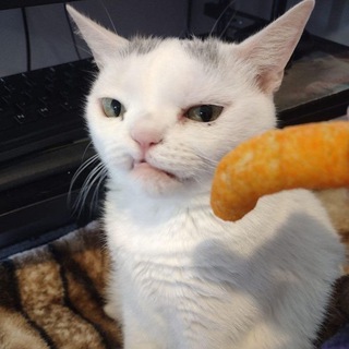 Telegram profile photo for VIP