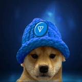 Telegram profile photo for TON Dog Wif Hat