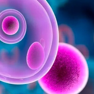 Telegram profile photo for В русле крови 🔬