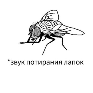 Telegram profile photo for 🕸Мошка в паутине🕸