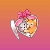 Telegram profile photo for meow bag