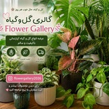 Telegram profile photo for FLOWERGALLERY
