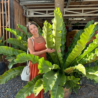 Telegram profile photo for Ботаника в акварели🍀🌱🌿