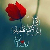 Telegram profile photo for امراء المستقبل🤴👸