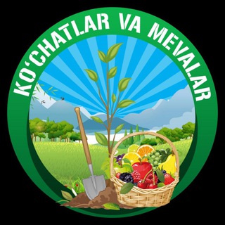 Telegram profile photo for KOCHATLAR OLAMI ( КУЧАТЛАР )
