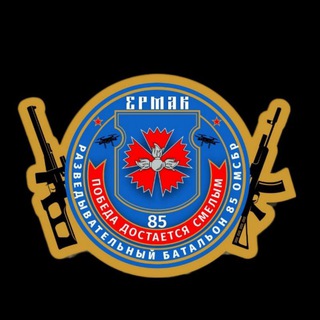 Telegram profile photo for Развед.Бат "Ермак"