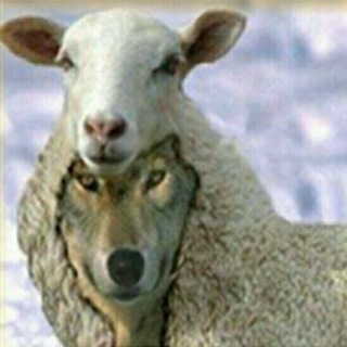Telegram profile photo for مزدوران پنهان در لباس پادشاهی
