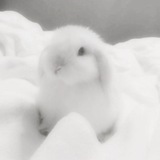 Telegram profile photo for 𝜗𝜚