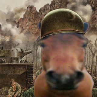 Telegram profile photo for IKУN ЩП