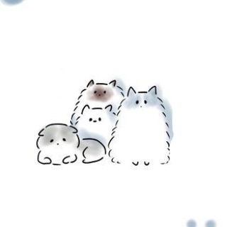 Telegram profile photo for ๐ฟ ๐ ๐ก๐๐๐๐๐ โ๐ข๐ก ๐ต