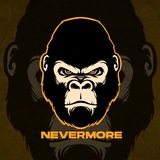 Telegram profile photo for NEVERMORE & B52🇵🇸