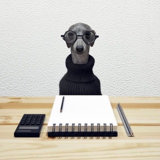 Telegram profile photo for мудак бляпост