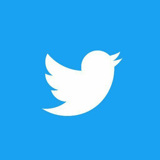 Telegram profile photo for 🐤تغريدات وأراء📝