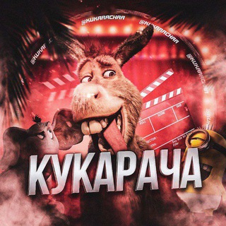 Telegram profile photo for Кукарача