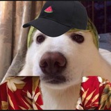 Telegram profile photo for GydokSquad > Переходник
