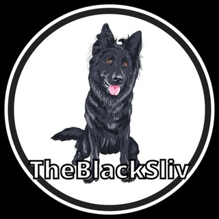 Telegram profile photo for BlackSliv